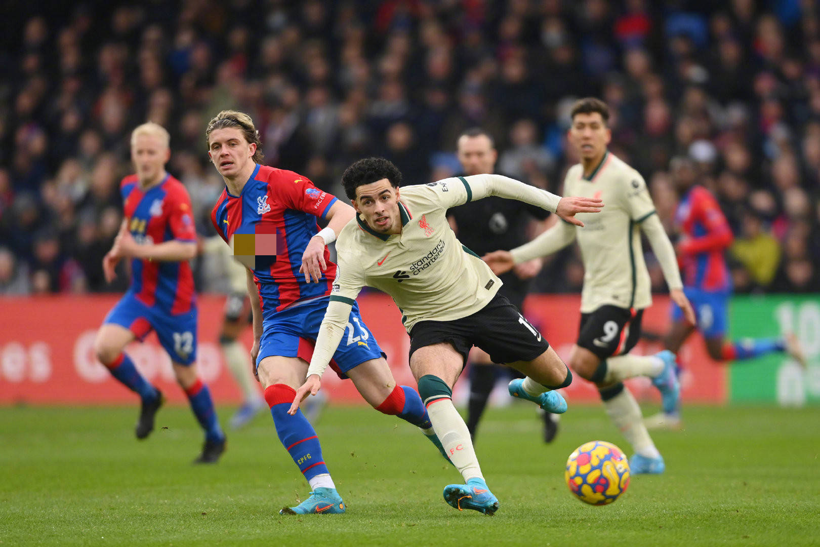 他向世人宣 他向世人宣